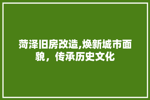 菏泽旧房改造,焕新城市面貌，传承历史文化