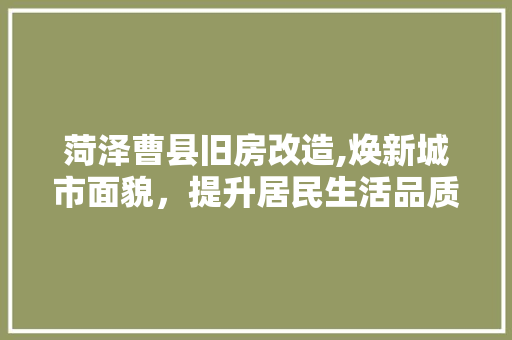 菏泽曹县旧房改造,焕新城市面貌，提升居民生活品质