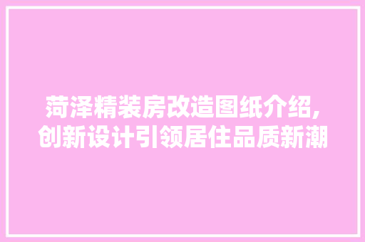 菏泽精装房改造图纸介绍,创新设计引领居住品质新潮流