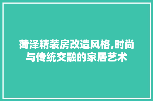 菏泽精装房改造风格,时尚与传统交融的家居艺术