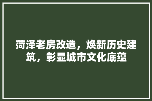 菏泽老房改造，焕新历史建筑，彰显城市文化底蕴