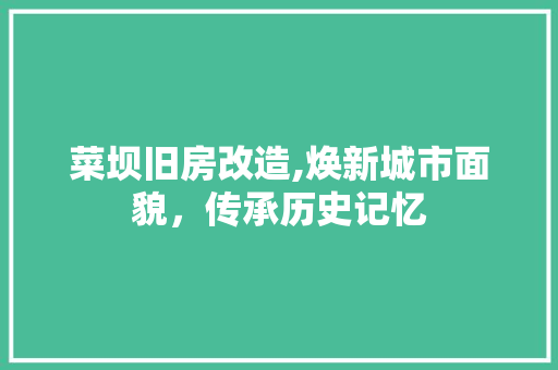 菜坝旧房改造,焕新城市面貌，传承历史记忆