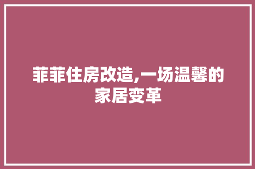 菲菲住房改造,一场温馨的家居变革