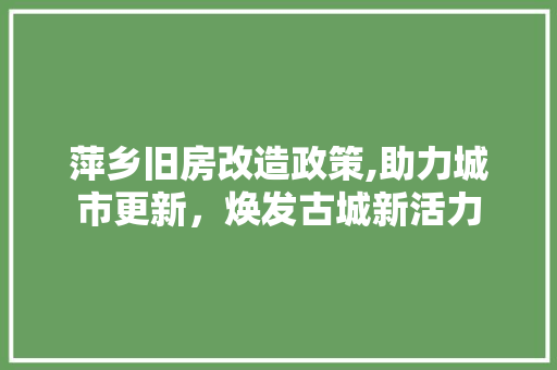 萍乡旧房改造政策,助力城市更新，焕发古城新活力