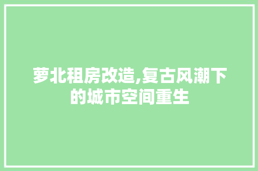 萝北租房改造,复古风潮下的城市空间重生