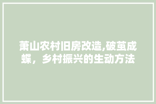 萧山农村旧房改造,破茧成蝶，乡村振兴的生动方法 家电维修