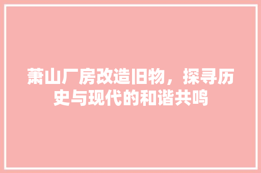 萧山厂房改造旧物，探寻历史与现代的和谐共鸣