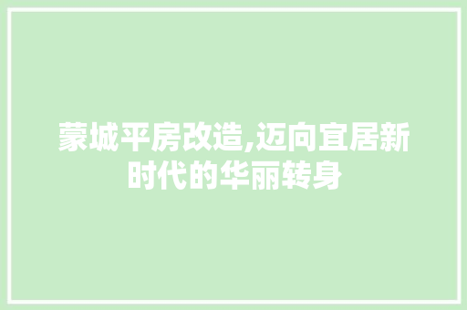 蒙城平房改造,迈向宜居新时代的华丽转身
