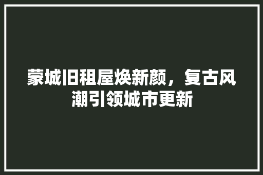 蒙城旧租屋焕新颜，复古风潮引领城市更新