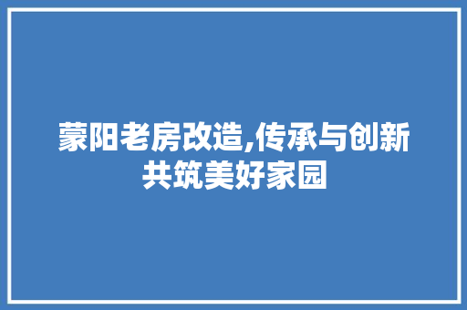 蒙阳老房改造,传承与创新共筑美好家园