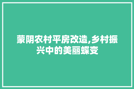 蒙阴农村平房改造,乡村振兴中的美丽蝶变