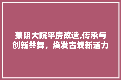 蒙阴大院平房改造,传承与创新共舞，焕发古城新活力
