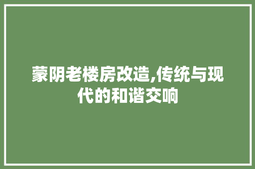 蒙阴老楼房改造,传统与现代的和谐交响