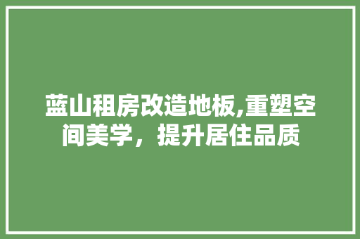 蓝山租房改造地板,重塑空间美学，提升居住品质