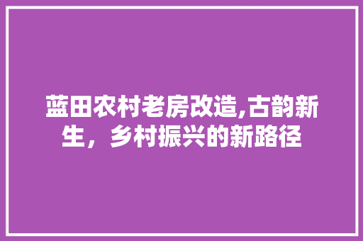 蓝田农村老房改造,古韵新生，乡村振兴的新路径
