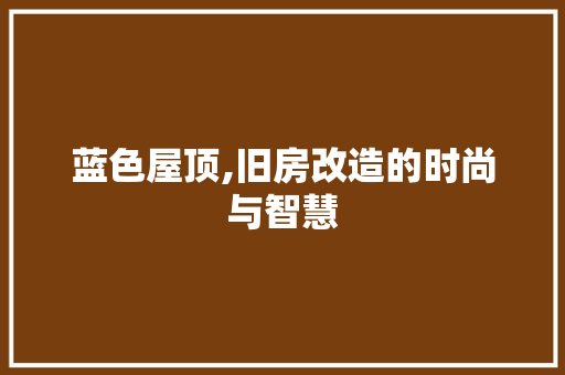 蓝色屋顶,旧房改造的时尚与智慧
