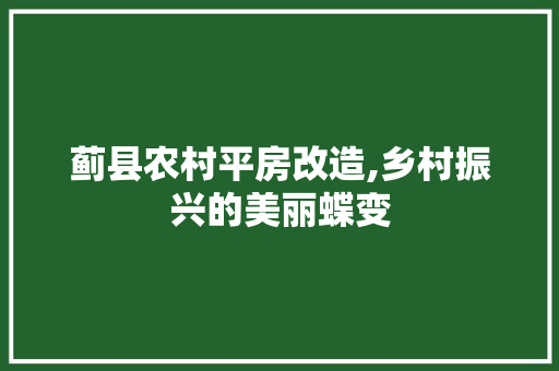 蓟县农村平房改造,乡村振兴的美丽蝶变