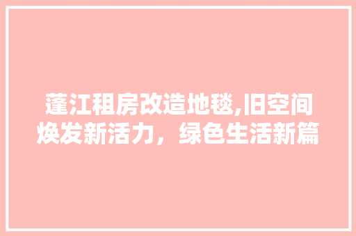 蓬江租房改造地毯,旧空间焕发新活力，绿色生活新篇章