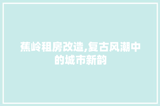 蕉岭租房改造,复古风潮中的城市新韵