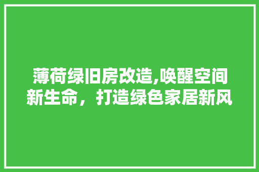 薄荷绿旧房改造,唤醒空间新生命，打造绿色家居新风尚