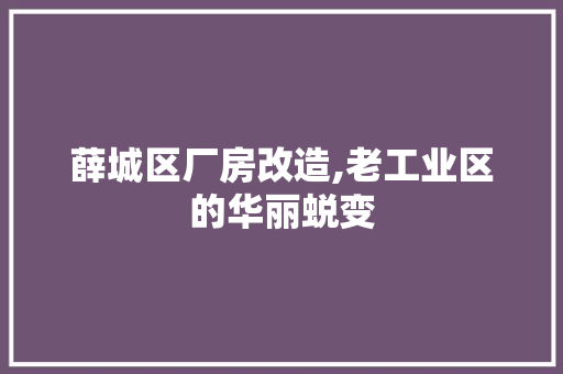 薛城区厂房改造,老工业区的华丽蜕变