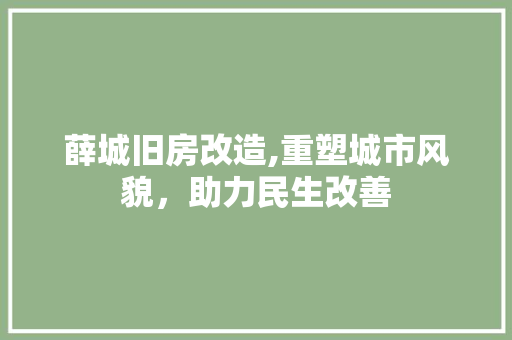 薛城旧房改造,重塑城市风貌，助力民生改善