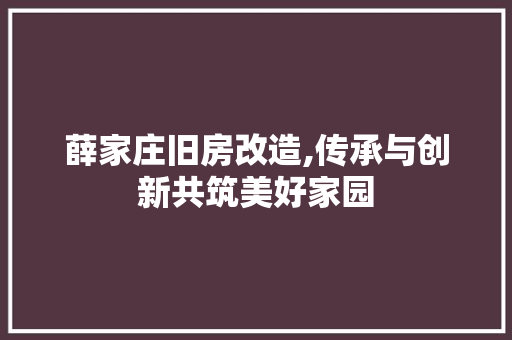 薛家庄旧房改造,传承与创新共筑美好家园 综合便民