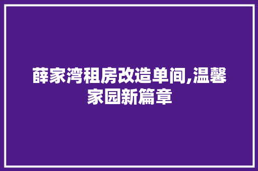 薛家湾租房改造单间,温馨家园新篇章