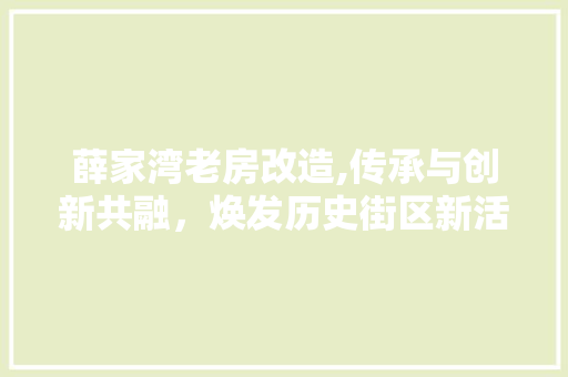 薛家湾老房改造,传承与创新共融，焕发历史街区新活力