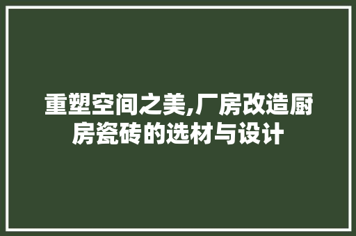 重塑空间之美,厂房改造厨房瓷砖的选材与设计 厨房维修