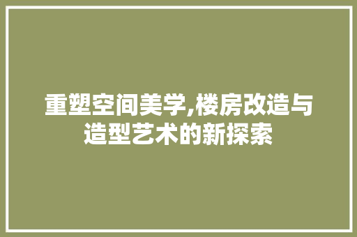 重塑空间美学,楼房改造与造型艺术的新探索 厨房维修