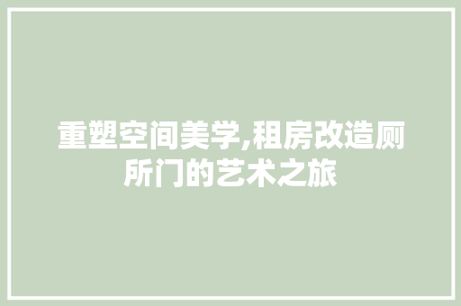 重塑空间美学,租房改造厕所门的艺术之旅 厨房维修