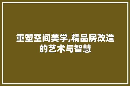 重塑空间美学,精品房改造的艺术与智慧 汽车维修