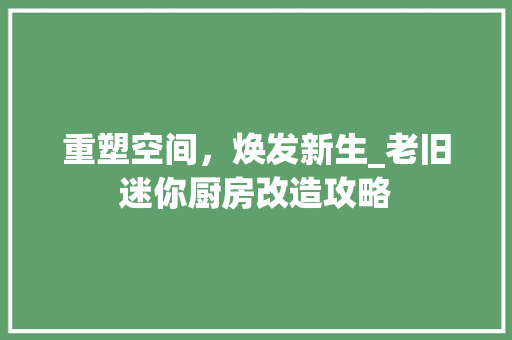 重塑空间，焕发新生_老旧迷你厨房改造攻略