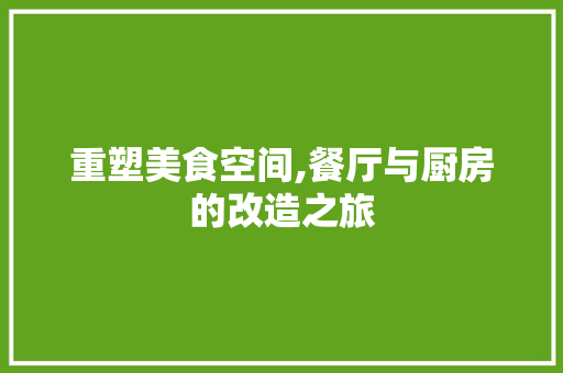 重塑美食空间,餐厅与厨房的改造之旅 厨房维修