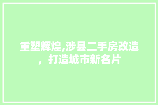 重塑辉煌,涉县二手房改造，打造城市新名片 厨房维修