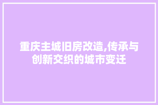 重庆主城旧房改造,传承与创新交织的城市变迁 厨房维修