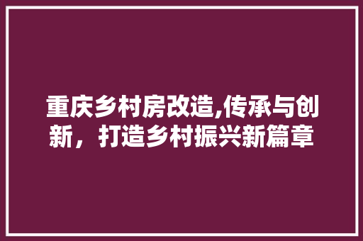 重庆乡村房改造,传承与创新，打造乡村振兴新篇章 厨房维修