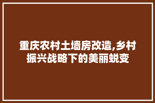 重庆农村土墙房改造,乡村振兴战略下的美丽蜕变 墙体维修