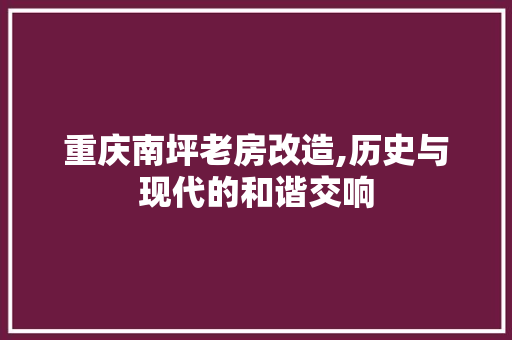 重庆南坪老房改造,历史与现代的和谐交响 综合便民