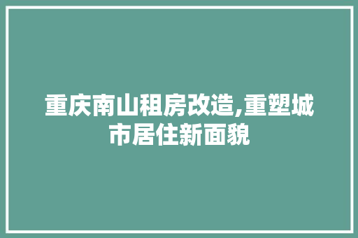 重庆南山租房改造,重塑城市居住新面貌 家电维修