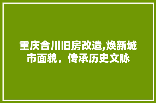 重庆合川旧房改造,焕新城市面貌，传承历史文脉 汽车维修