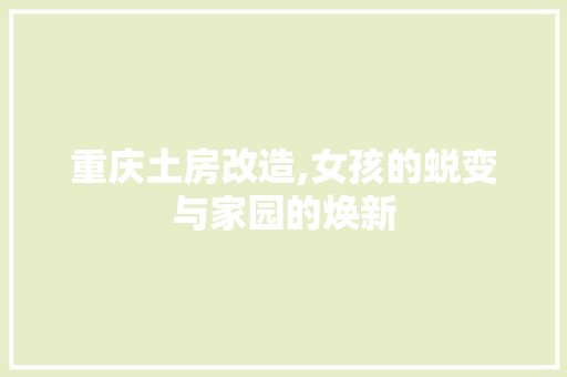 重庆土房改造,女孩的蜕变与家园的焕新 墙体维修