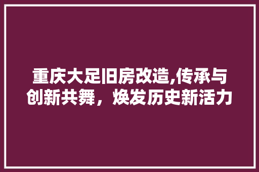 重庆大足旧房改造,传承与创新共舞，焕发历史新活力 家电维修