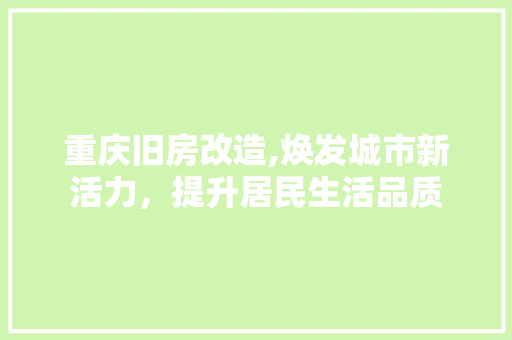 重庆旧房改造,焕发城市新活力，提升居民生活品质