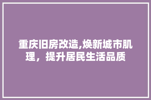 重庆旧房改造,焕新城市肌理，提升居民生活品质