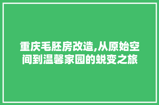 重庆毛胚房改造,从原始空间到温馨家园的蜕变之旅