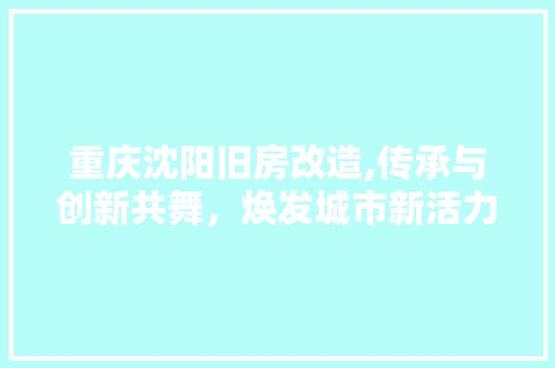 重庆沈阳旧房改造,传承与创新共舞，焕发城市新活力 综合便民