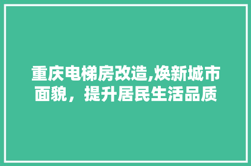 重庆电梯房改造,焕新城市面貌，提升居民生活品质