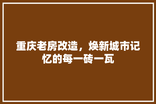 重庆老房改造，焕新城市记忆的每一砖一瓦